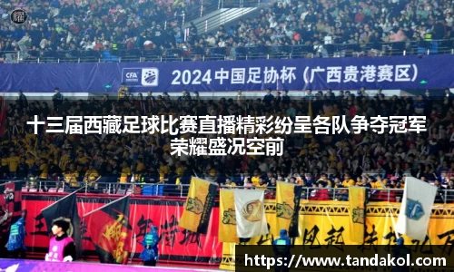 十三届西藏足球比赛直播精彩纷呈各队争夺冠军荣耀盛况空前